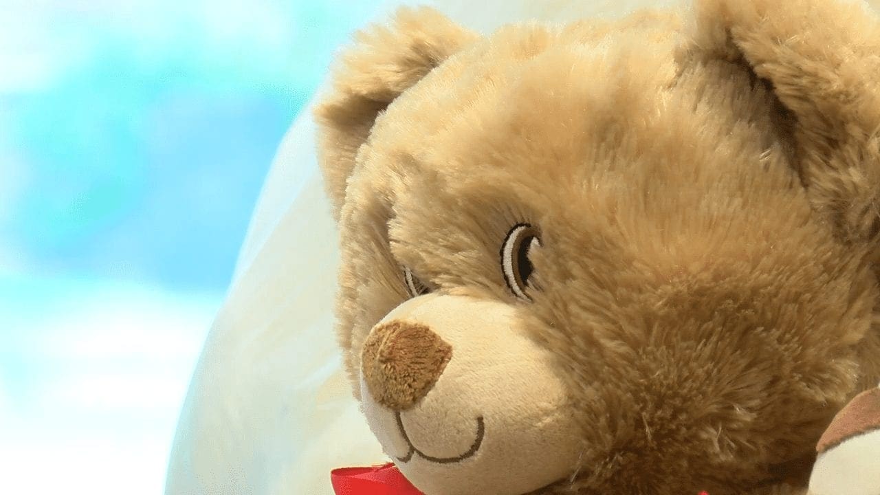 deliver teddy bear today